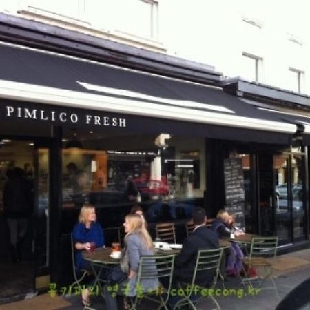 3 Bedroom Apartment With Private Terrace In Pimlico, Westminster, Victoria Лондон Екстер'єр фото